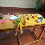 sensory-workshop-for-staff-2