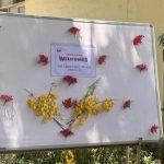 visit-to-worth-trust-katpadi-3